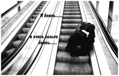  (500x321, 36Kb)