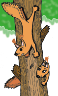  (118x194, 14Kb)