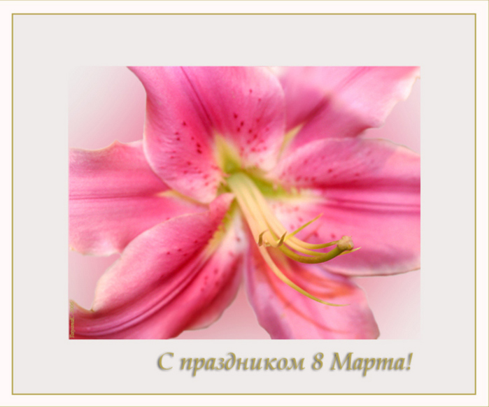  (699x582, 154Kb)