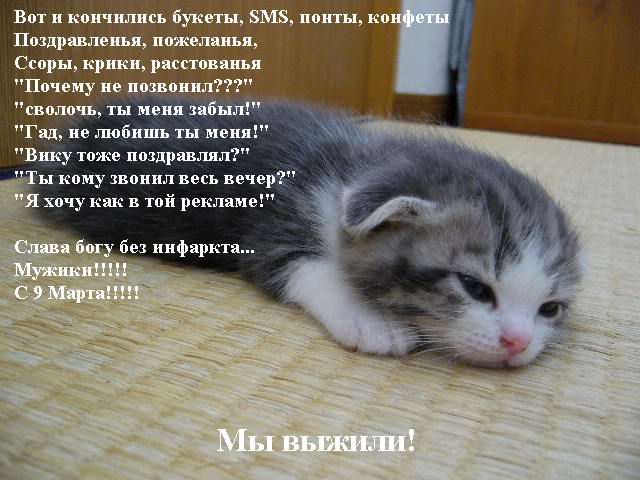  (640x480, 58Kb)