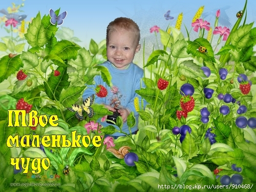  (500x375, 213Kb)