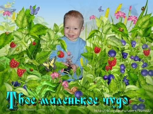  (500x375, 215Kb)