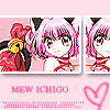  (100x100, 16Kb)