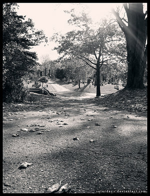  (300x392, 52Kb)