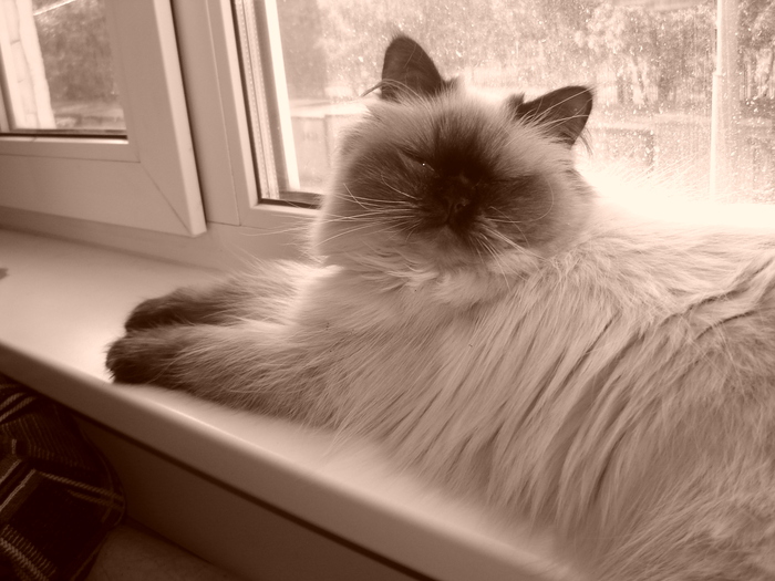  (700x525, 173Kb)