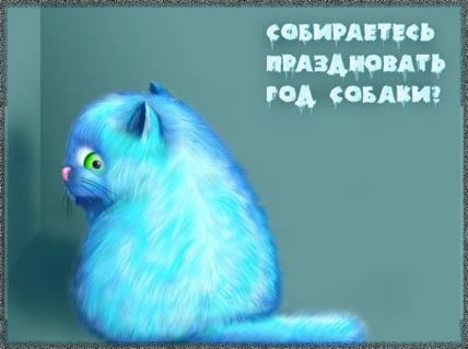  (428x319, 51Kb)