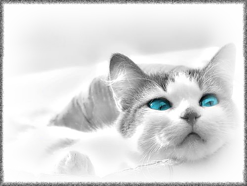  (500x377, 75Kb)
