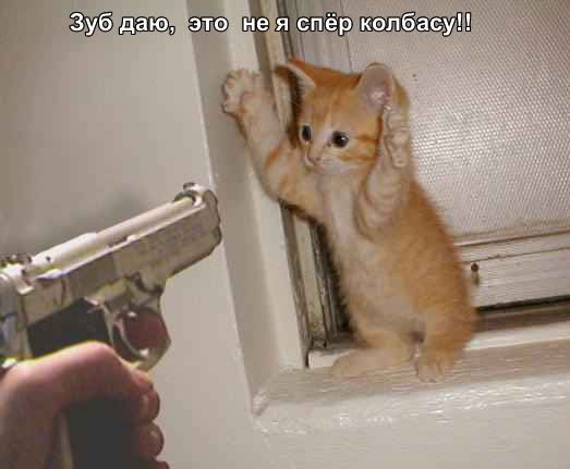  (523x431, 25Kb)