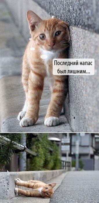  (342x699, 52Kb)