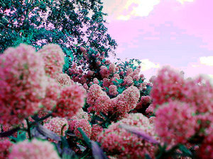  (300x225, 34Kb)