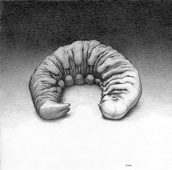  (600x594, 88Kb)