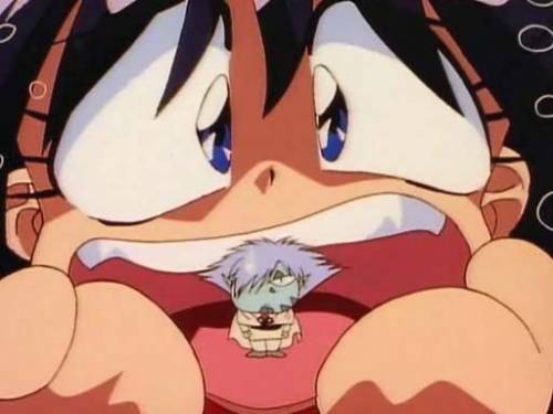  (500x375, 21Kb)