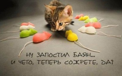  (400x250, 18Kb)