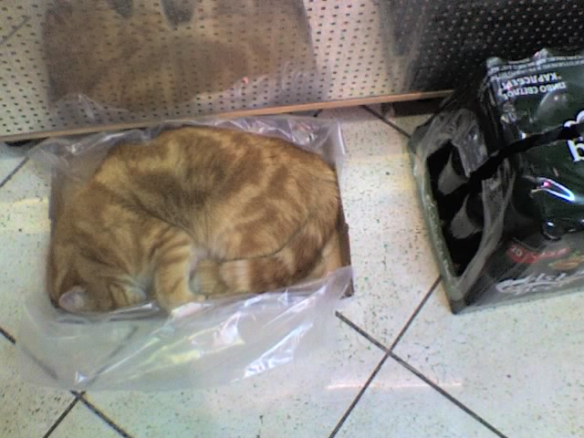  (640x480, 95Kb)