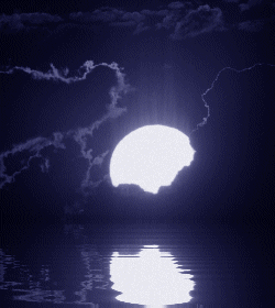 659337_416856_261836_fghfhf (250x280, 65Kb)