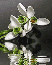  (176x220, 99Kb)