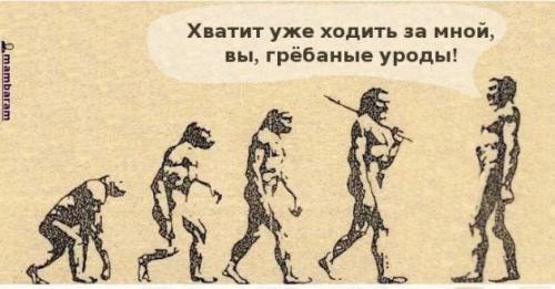  (500x261, 26Kb)