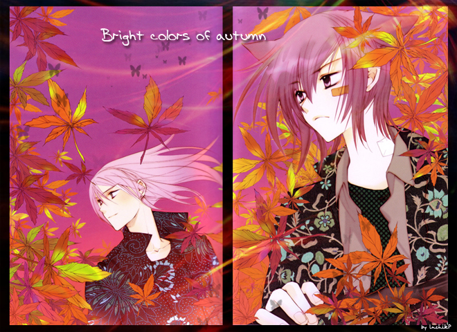  (660x480, 454Kb)