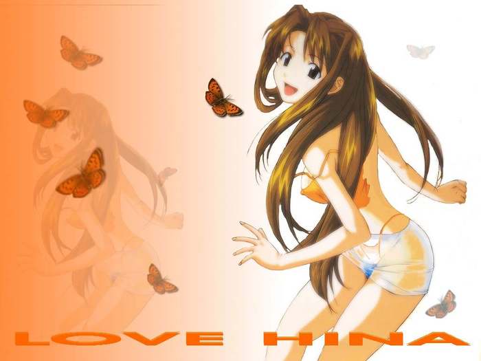  (700x525, 29Kb)