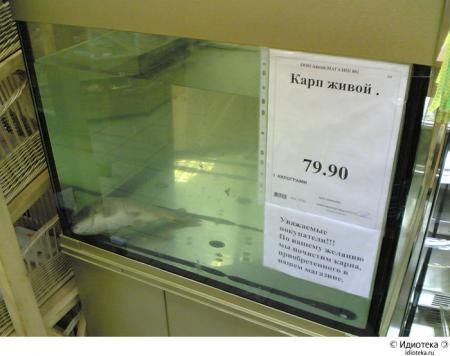  (450x356, 24Kb)