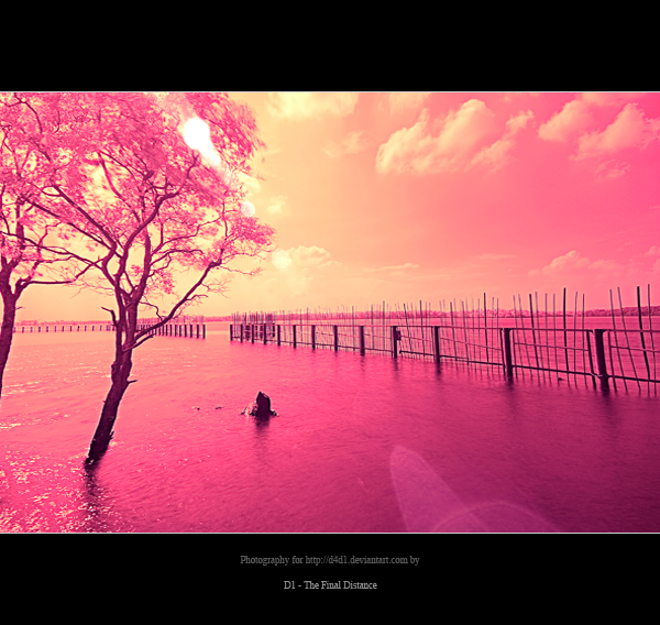  (600x568, 310Kb)