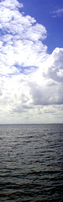  (220x697, 99Kb)