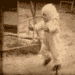  (110x110, 47Kb)