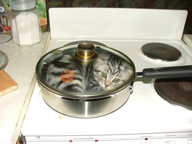  (640x480, 53Kb)