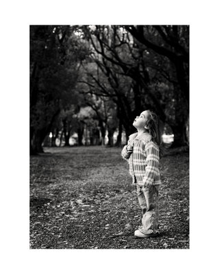 24229769_811e591291eb46af (320x400, 28Kb)