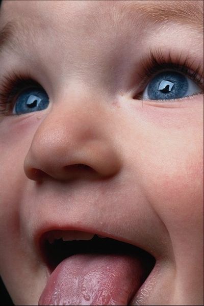  (400x600, 36Kb)
