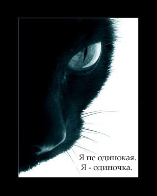 90296_69836060 (320x400, 30Kb)