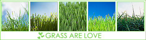 1189873712_19980163_Grass (470x129, 124Kb)