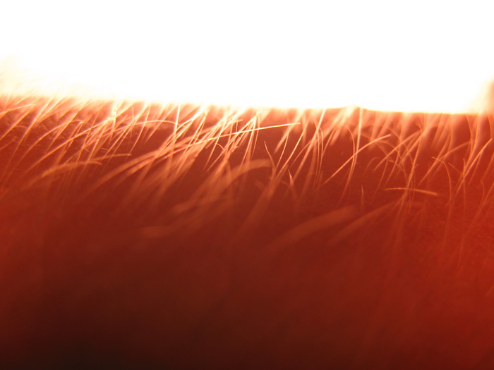  (700x525, 52Kb)