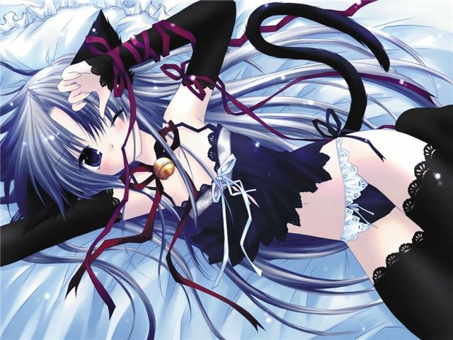  (640x480, 82Kb)