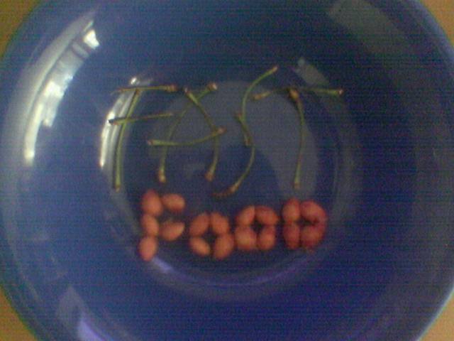  (640x480, 30Kb)