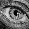  (100x100, 4Kb)
