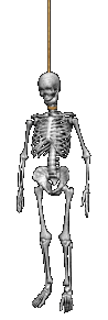  (98x291, 33Kb)