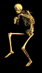  (60x104, 18Kb)