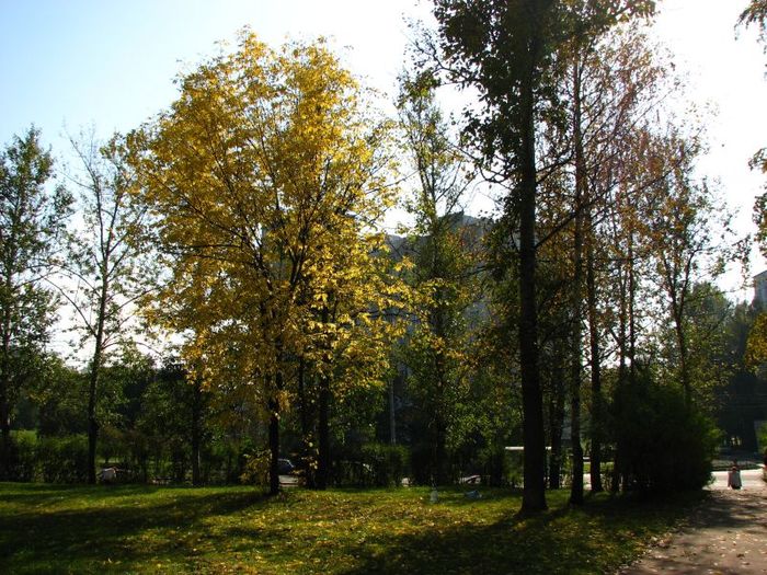  (700x525, 129Kb)