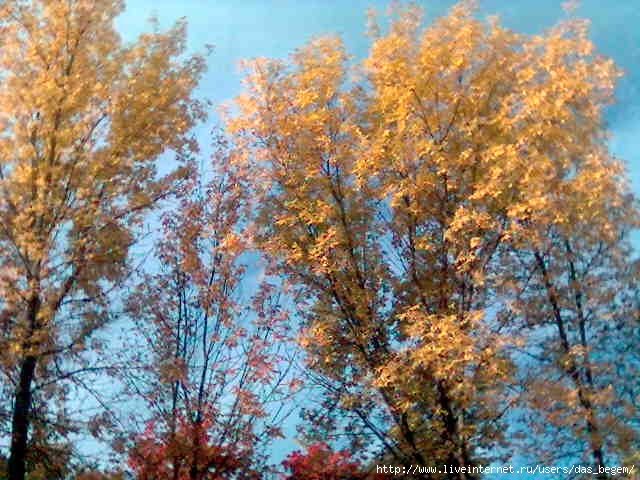  (640x480, 43Kb)