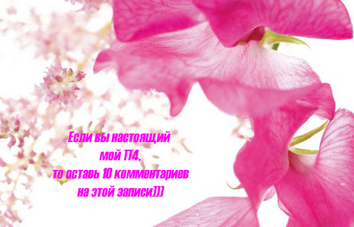 2368613_26856799_26445695_26151454_65_copy1 (700x449, 97Kb)