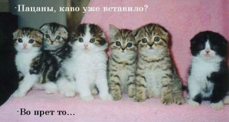  (450x240, 30Kb)