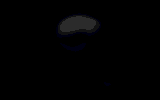  (160x100, 13Kb)