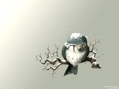  (500x375, 22Kb)