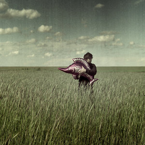  (300x300, 27Kb)