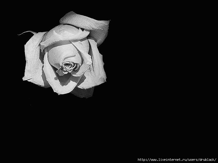  (700x525, 28Kb)