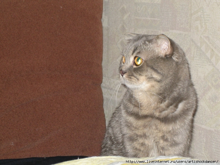 IMG_0987 (700x525, 176Kb)