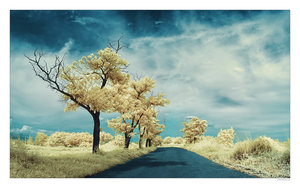  (300x188, 18Kb)
