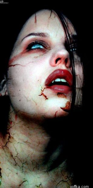 img__11 (307x620, 27Kb)