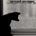  (120x120, 12Kb)